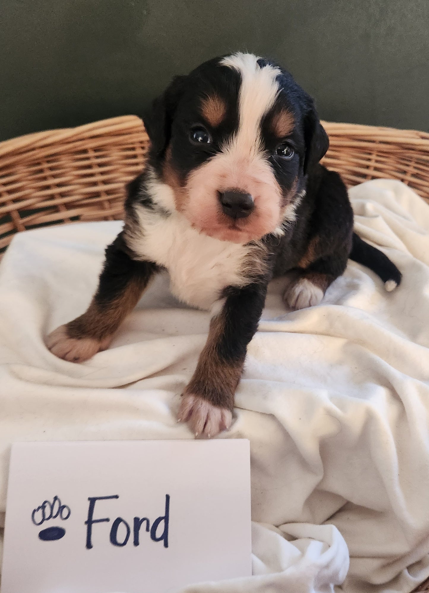 4 Weeks