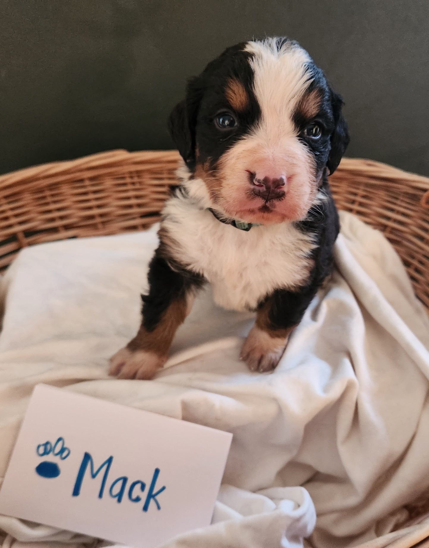 4 Weeks
