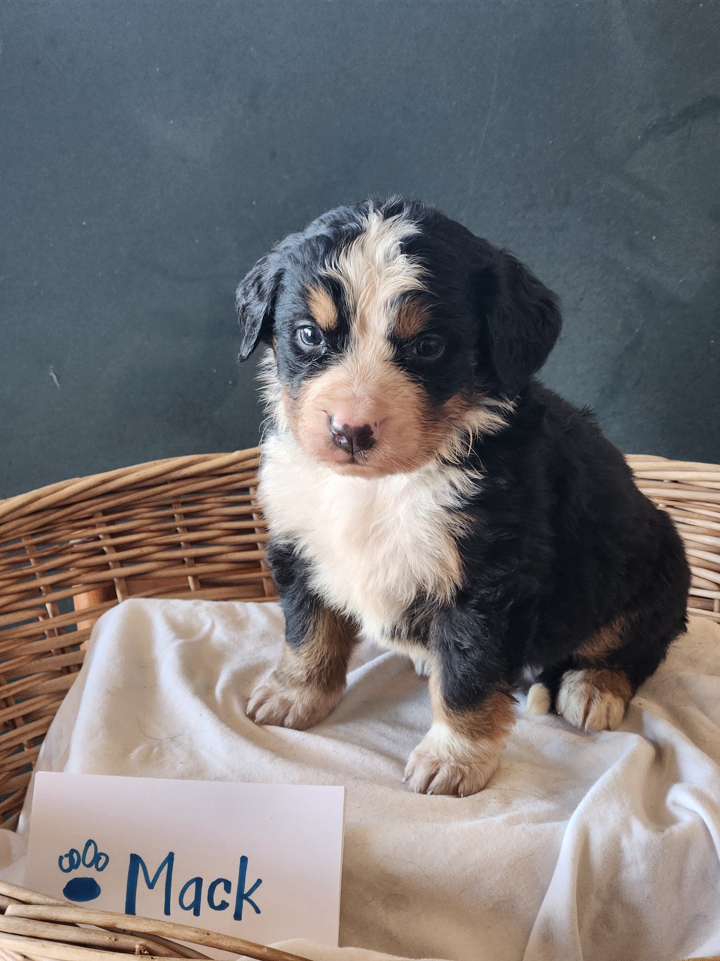 5 Weeks