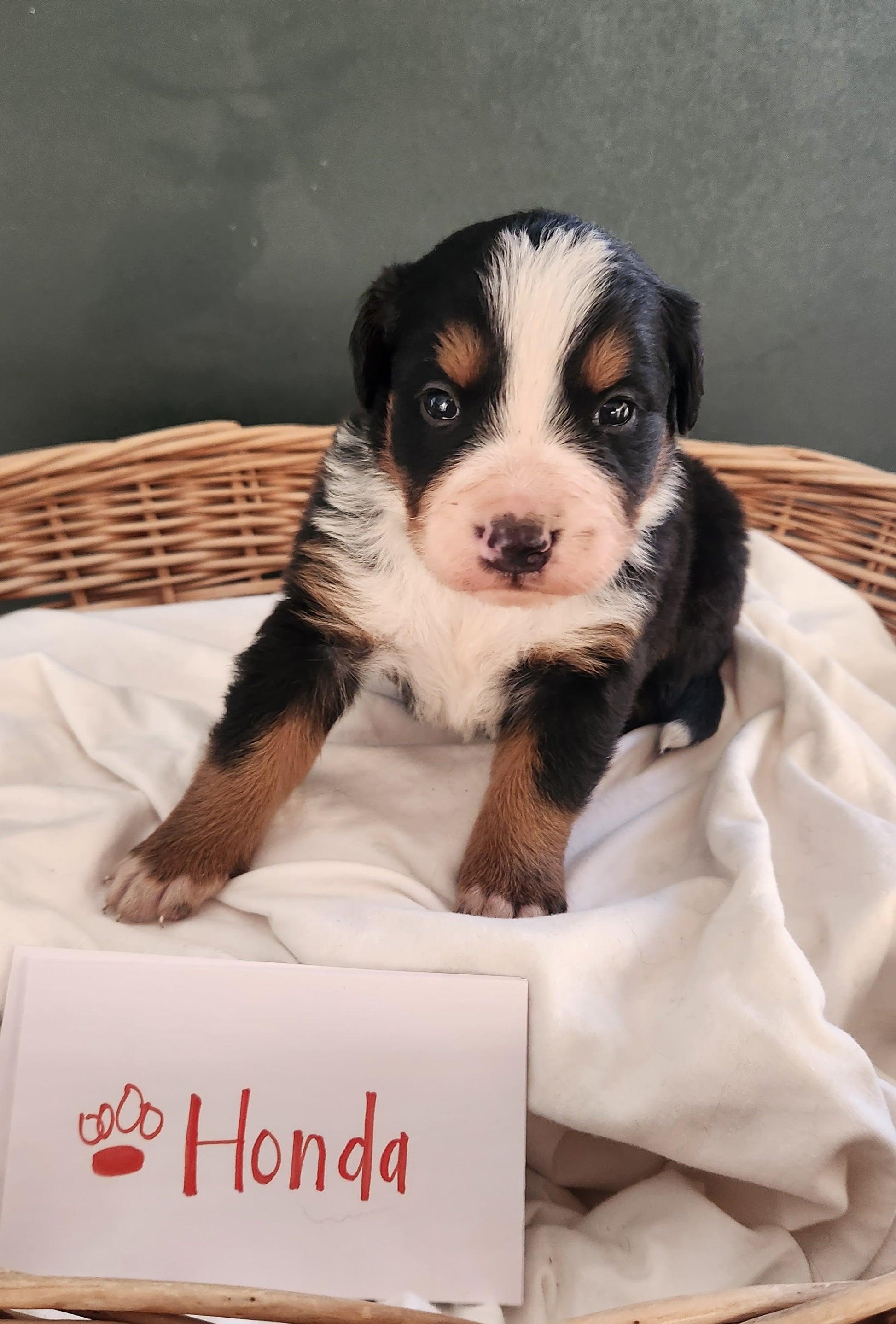 4 Weeks