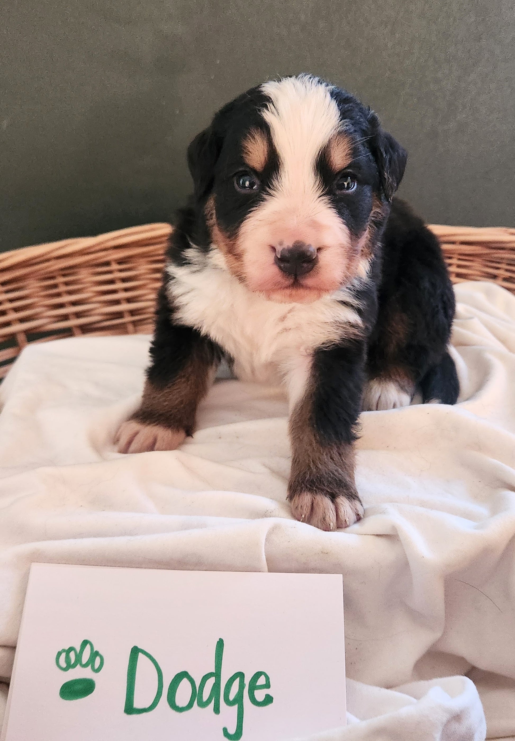 4 Weeks
