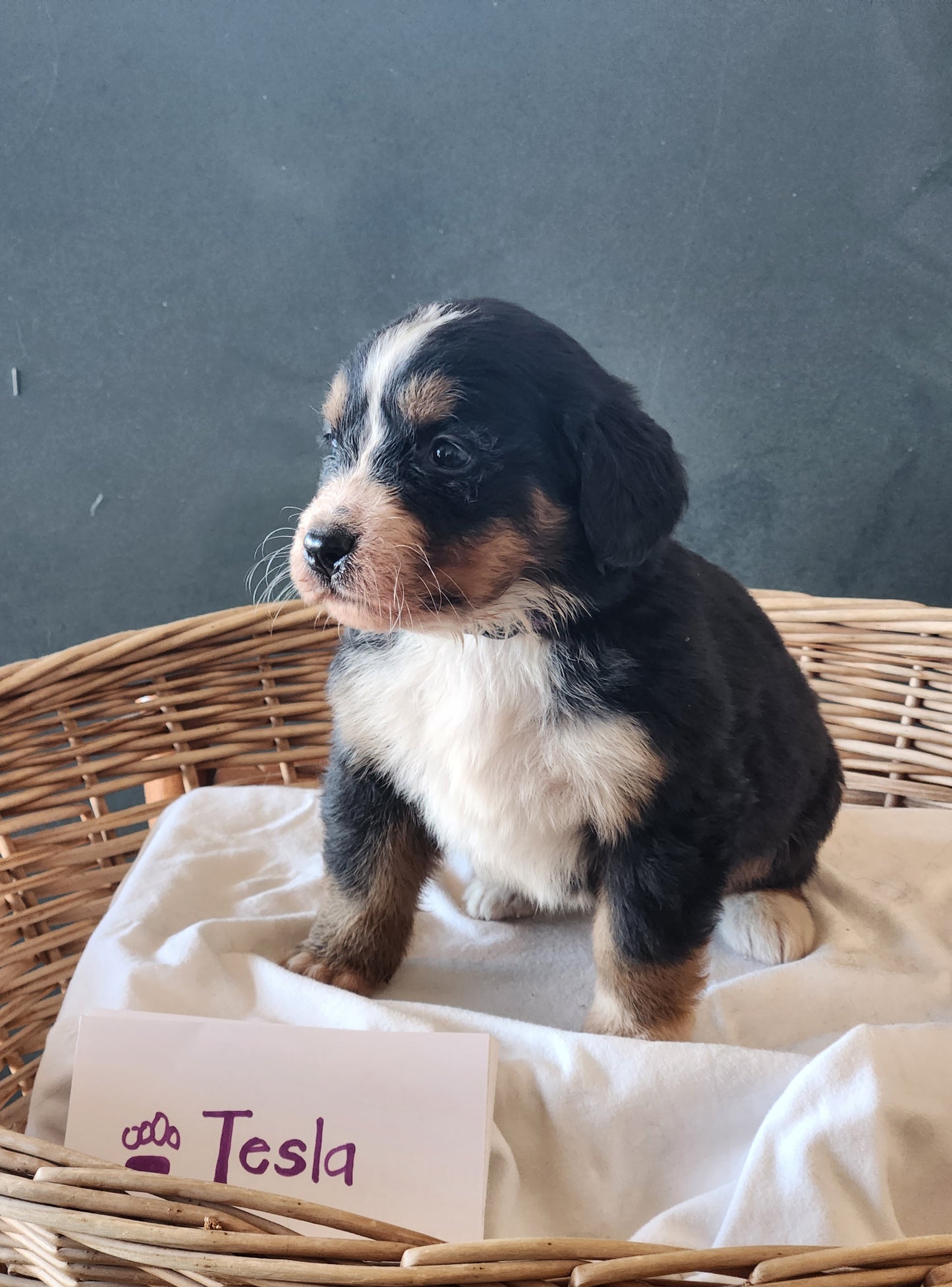 5 Weeks